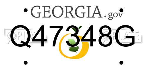 Q47348G Georgia License Plate