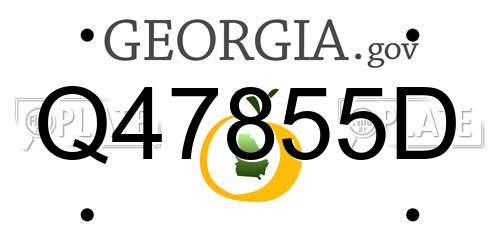 Q47855D Georgia License Plate