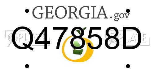 Q47858D Georgia License Plate