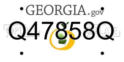 Q47858Q Georgia License Plate