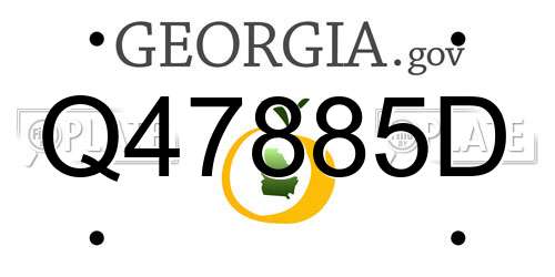 Q47885D Georgia License Plate