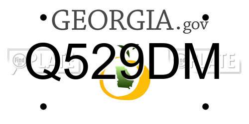 Q529DM Georgia License Plate