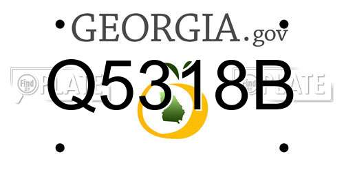 Q5318B Georgia License Plate
