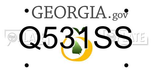 Q531SS Georgia License Plate