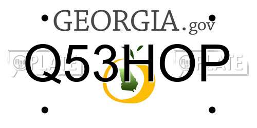 Q53HOP Georgia License Plate