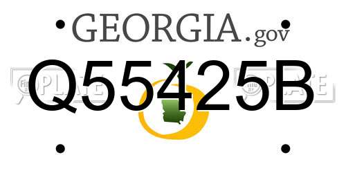 Q55425B Georgia License Plate