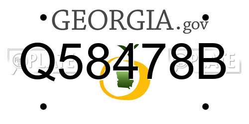 Q58478B Georgia License Plate