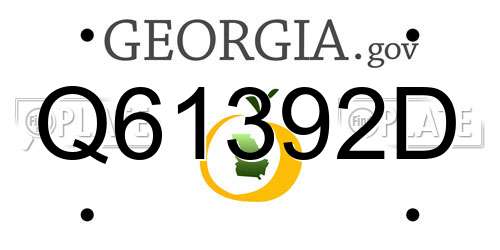 Q61392D Georgia License Plate
