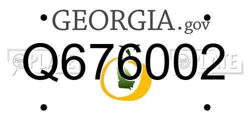 Q676002 Georgia License Plate