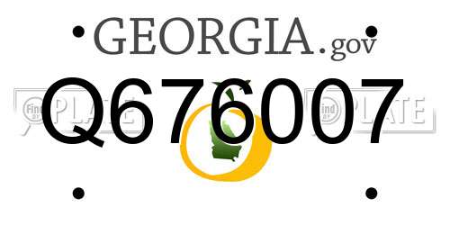 Q676007 Georgia License Plate