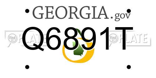 Q6891T Georgia License Plate