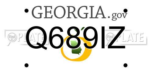 Q689IZ Georgia License Plate