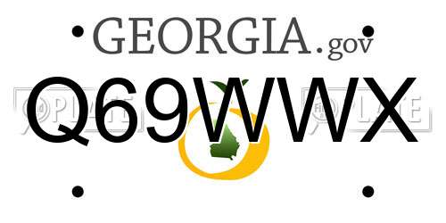 Q69WWX Georgia License Plate