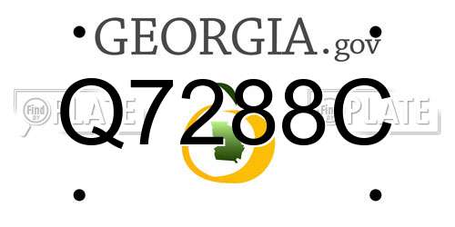 Q7288C Georgia License Plate