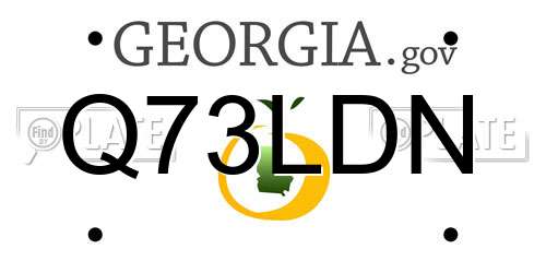 Q73LDN Georgia License Plate