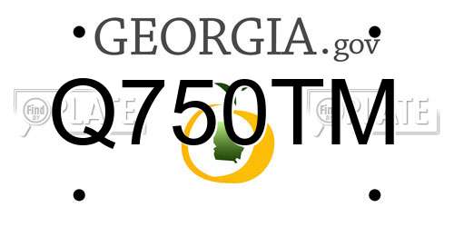 Q750TM Georgia License Plate