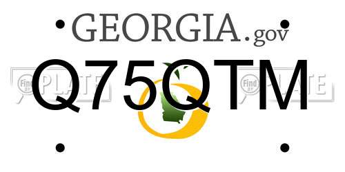 Q75QTM Georgia License Plate