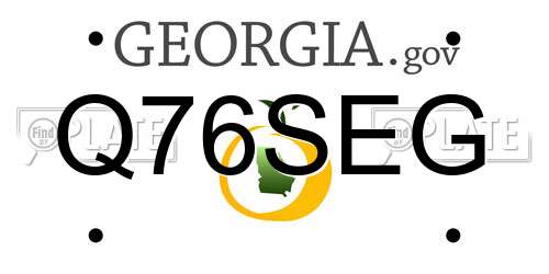 Q76SEG Georgia License Plate
