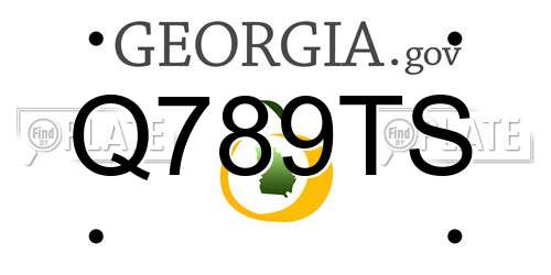 Q789TS Georgia License Plate