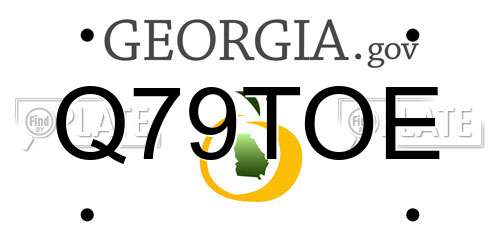 Q79TOE Georgia License Plate