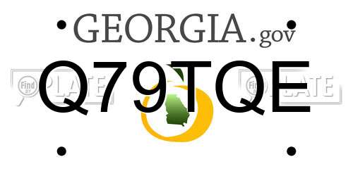Q79TQE Georgia License Plate