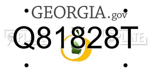Q81828T Georgia License Plate