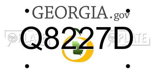 Q8227D Georgia License Plate