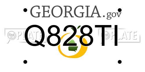 Q828TI Georgia License Plate