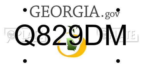 Q829DM Georgia License Plate