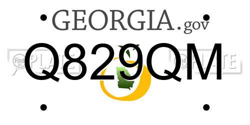 Q829QM Georgia License Plate
