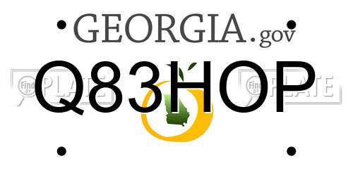 Q83HOP Georgia License Plate