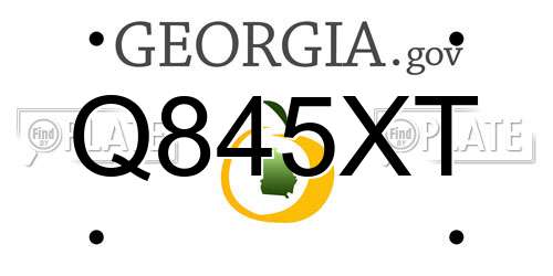 Q845XT Georgia License Plate
