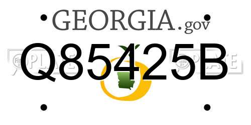 Q85425B Georgia License Plate