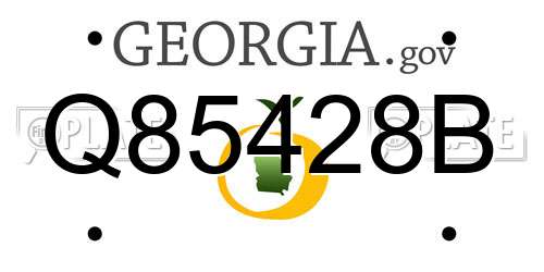 Q85428B Georgia License Plate