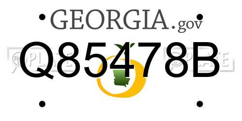 Q85478B Georgia License Plate
