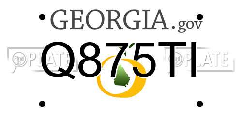 Q875TI Georgia License Plate