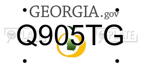 Q905TG Georgia License Plate