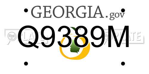 Q9389M Georgia License Plate
