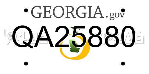 QA25880 Georgia License Plate