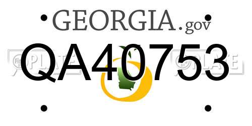 QA40753 Georgia License Plate