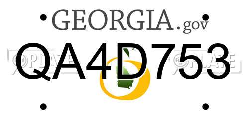 QA4D753 Georgia License Plate