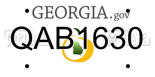 QAB1630 Georgia License Plate