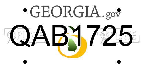 QAB1725 Georgia License Plate