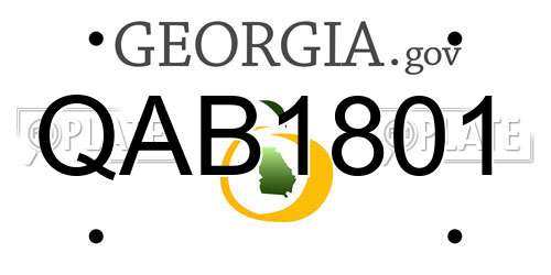 QAB1801 Georgia License Plate