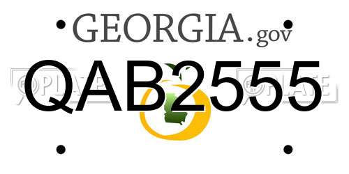QAB2555 Georgia License Plate