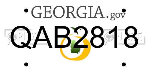 QAB2818 Georgia License Plate