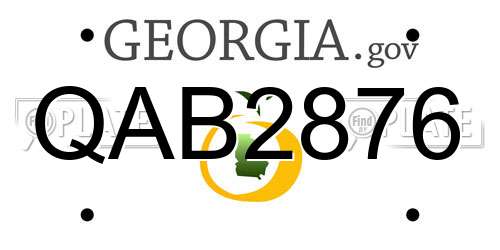 QAB2876 Georgia License Plate