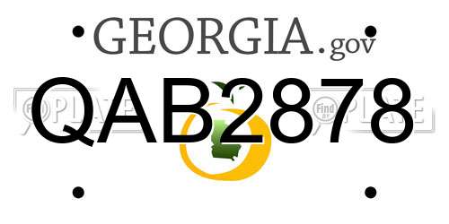 QAB2878 Georgia License Plate