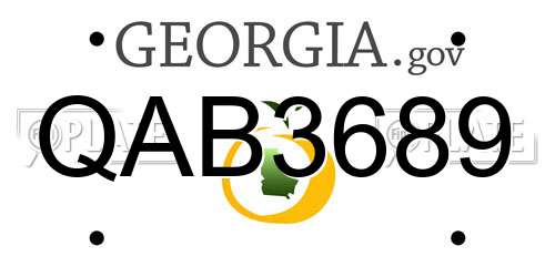 QAB3689 Georgia License Plate