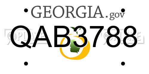 QAB3788 Georgia License Plate